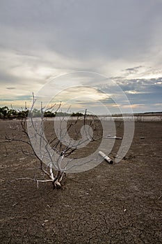 Barren ground sunset