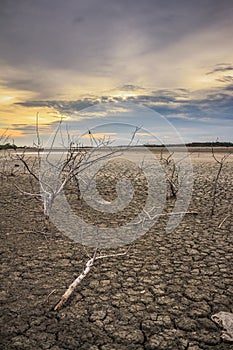Barren ground sunset
