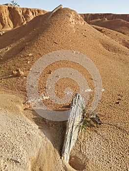 barren land due to erosion after deforestation