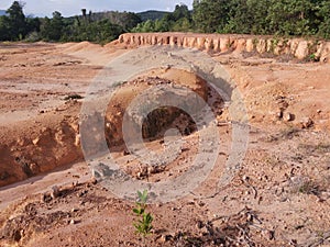 barren land due to erosion after deforestation