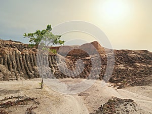 barren land due to erosion after deforestation