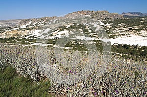 Barren Land, Turkey