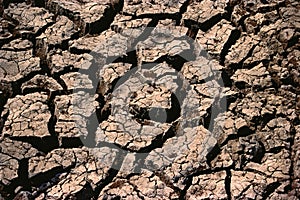 Barren land, Uttan, Maharashtra, India