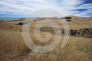 Barren landscape at Cape Kidnappers