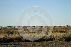 Barren landscape in the desert featuring sand dunes and patches of grass, Uws Province, Mongolia