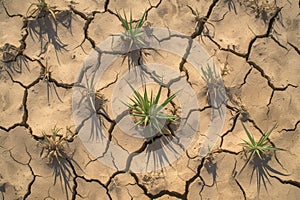 Barren landscape dried, cracked soil under scorching summer sun