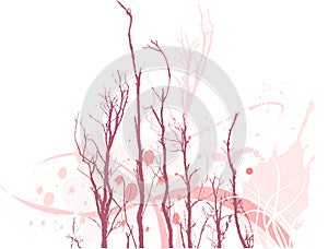 Barren tree branches photo