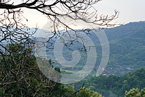 a barren tree in the foreground, while a lush green valley, adorned with rice paddies, lies beneath the surrounding hills