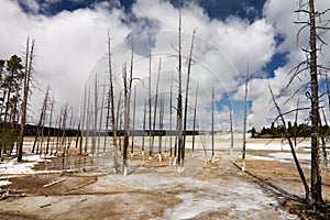 Barren Wasteland of Yellowstone Geyser Field