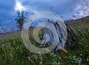 Barren Wilderness Moorland