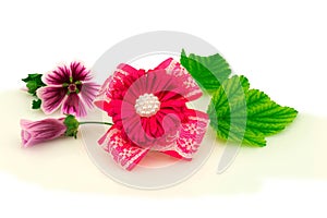 Barrette with elastic and pink ribbon, flowers and green leaf isolated on white background