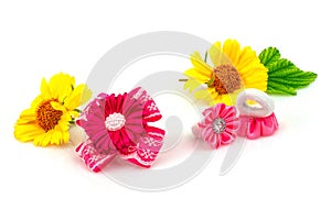 Barrette with pink ribbon and elastic, flowers and green leaf isolated on white background