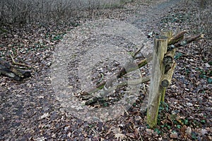 A barrier made of branches on a path in the forest. Berlin, Germany