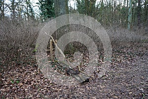 A barrier made of branches on a path in the forest. Berlin, Germany