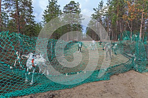 Barrier net to prevent reindeer from passing. Sami, saami village on the Kola Peninsula, Russia. Tourist ethnographic parking.