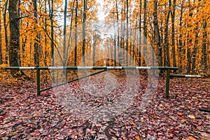 Barrier on the path in the autumn forest