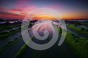 Barrika beach at sunset with seaweed