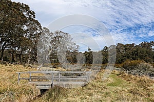 Barrington Tops swamps