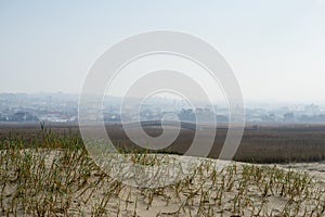 Barrinha of Esmoriz, National Reserve in Espinho, Portugal photo