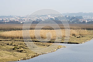 Barrinha of Esmoriz, National Reserve in Espinho, Portugal photo