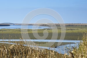 Barrinha of Esmoriz, National Reserve in Espinho, Portugal photo