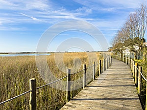 Barrinha of Esmoriz, situated between the municipalities of Espinho and Ovar, Portugal photo