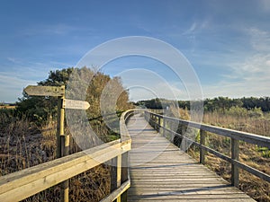 Barrinha of Esmoriz, situated between the municipalities of Espinho and Ovar, Portugal photo