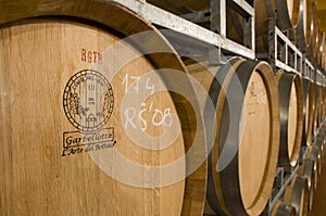 Barrique barrels in wine cellar