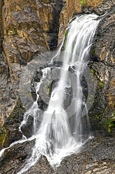 Barron Falls waterfall in the rainforest, Cairns, Australia photo