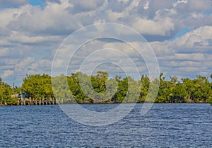 Barron River Mangroves in Everglades City, Collier County, Florida photo