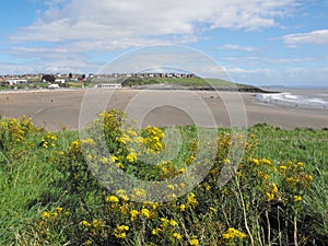 Barry Island Peninsula