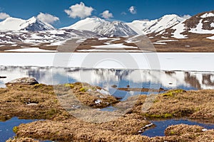 Barskoon Arabel Syrts at Issyk Kul Region