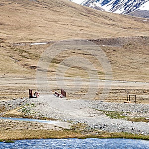 Barskoon Arabel Syrts at Issyk Kul Region