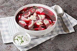 Barszcz z uszkami beetroot soup, borsch with small dumplings closeup on the plate. Horizontal