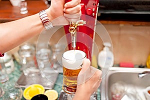 Bartender brewing draft beer in pub