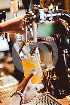 Bartender filling beer from tap at bar