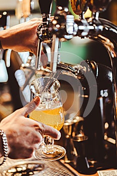 Bartender filling beer from tap at bar