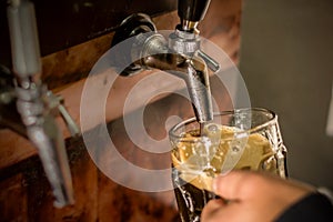 Bartender filling up with craft beer a pint glass photo