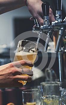 Bartender hand at beer tap pouring a draught beer in glass