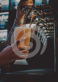 Bartender hand at beer tap pouring a draught beer in glass serving in a restaurant