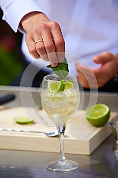 Bartender in nature preparing alcoholic drink mojito.
