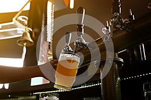 Bartender pouring beer from tap into glass