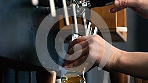 Bartender pouring draught beer