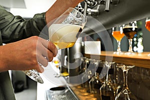 Bartender pouring fresh beer into glass in pub