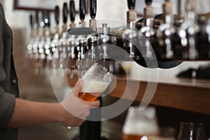 Bartender pouring fresh beer into glass in pub