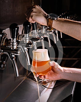 Bartender pouring fresh beer into glass in pub