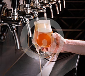 Bartender pouring fresh beer into glass in pub
