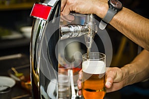 Bartender pouring fresh cold beer from tap