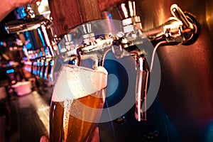 Bartender pouring a large lager beer in tap