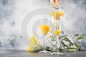 Bartender preparing alcohol cocktail mimosa with orange juice and cold dry champagne or sparkling wine in glasses, gray bar